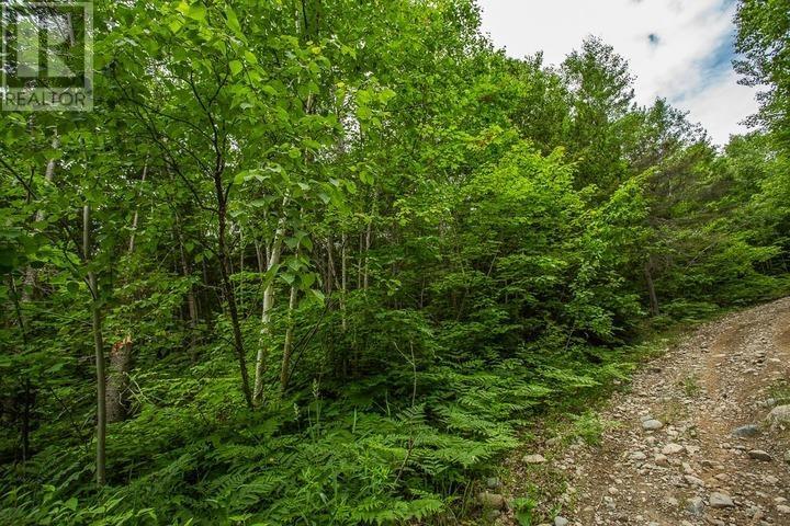 Highway 17 Sheppards LN, Township of North Shore