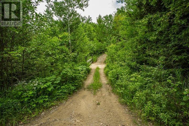 Highway 17 Sheppards LN, Township of North Shore