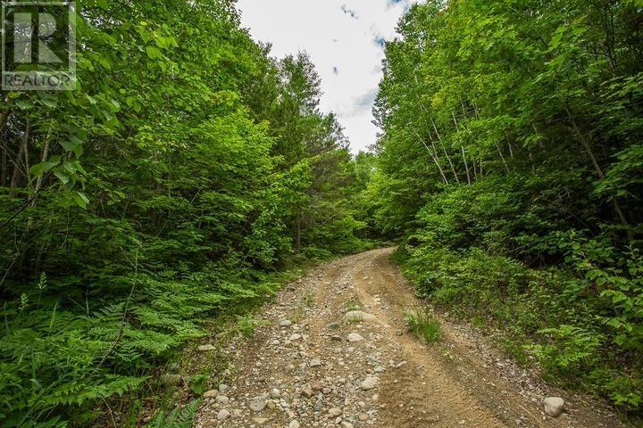 Highway 17 Sheppards LN, Township of North Shore