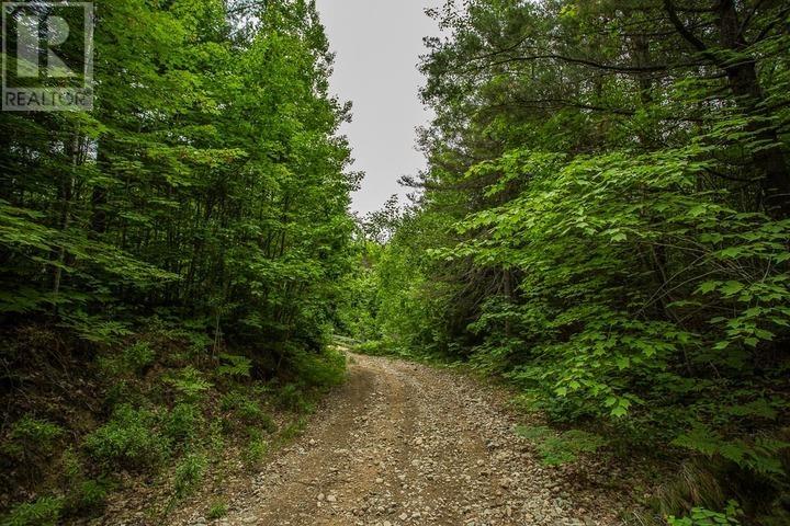 Highway 17 Sheppards LN, Township of North Shore