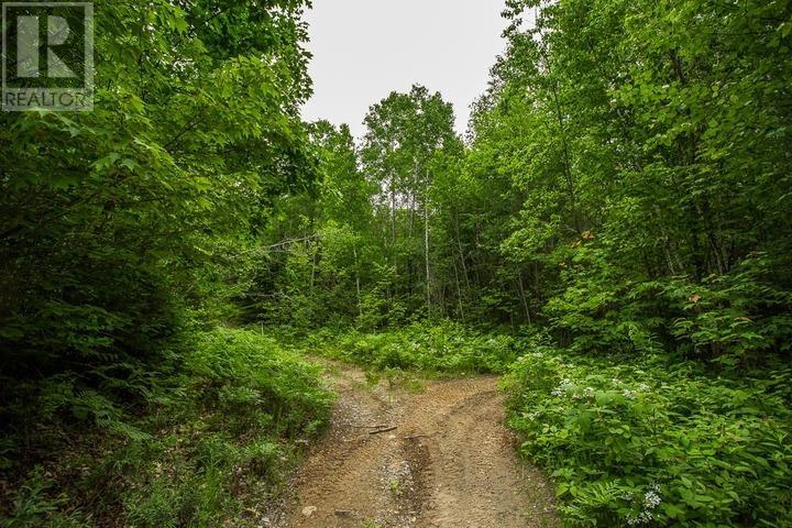 Highway 17 Sheppards LN, Township of North Shore