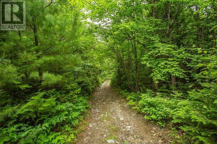 Highway 17 Sheppards LN, Township of North Shore
