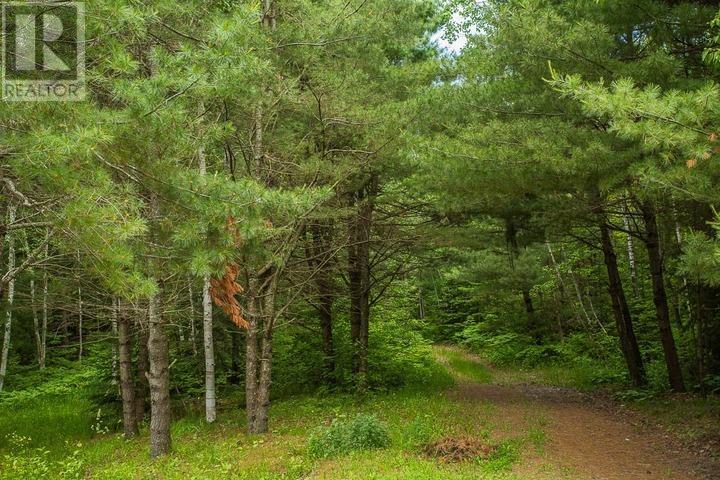 Highway 17 Sheppards LN, Township of North Shore