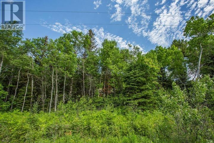 Highway 17 Sheppards LN, Township of North Shore