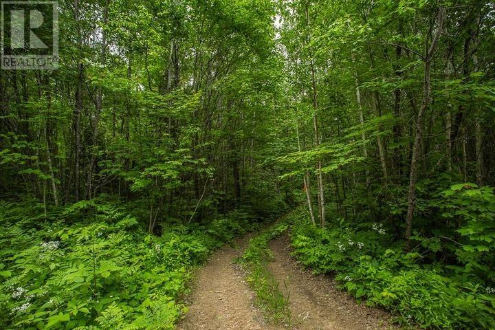 Highway 17 Sheppards LN, Township of North Shore
