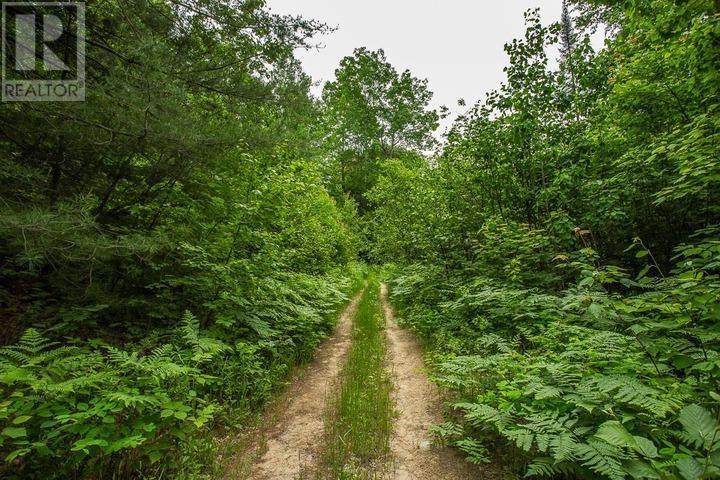 Highway 17 Sheppards LN, Township of North Shore