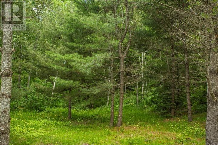 Highway 17 Sheppards LN, Township of North Shore