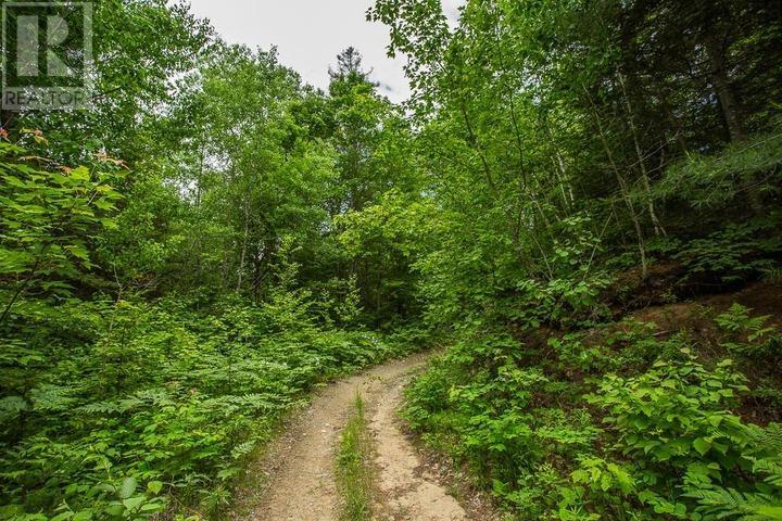 Highway 17 Sheppards LN, Township of North Shore