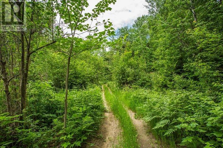 Highway 17 Sheppards LN, Township of North Shore