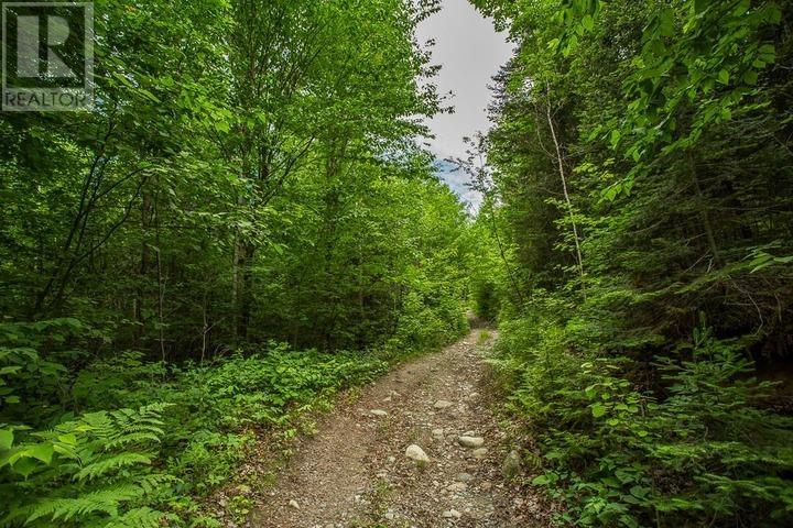 Highway 17 Sheppards LN, Township of North Shore