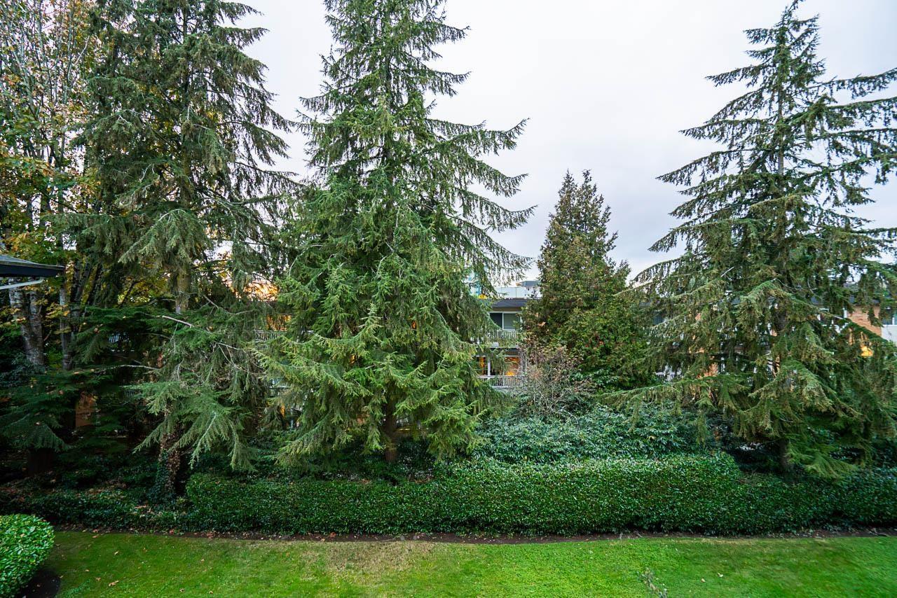 1 Bed, 1 Bath Apartment for Sale in White Rock – 301 1561 VIDAL STREET, White Rock – MLS# R3145049 - Image 20