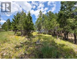 61 Sandstone Circle, Invermere, BC V0A1K6 Photo 10