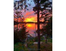 92 Brock Road, North Kawartha, ON K0L1A0 Photo 40