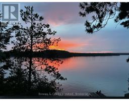 92 Brock Road, North Kawartha, ON K0L1A0 Photo 37