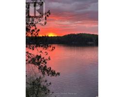 92 Brock Road, North Kawartha, ON K0L1A0 Photo 39