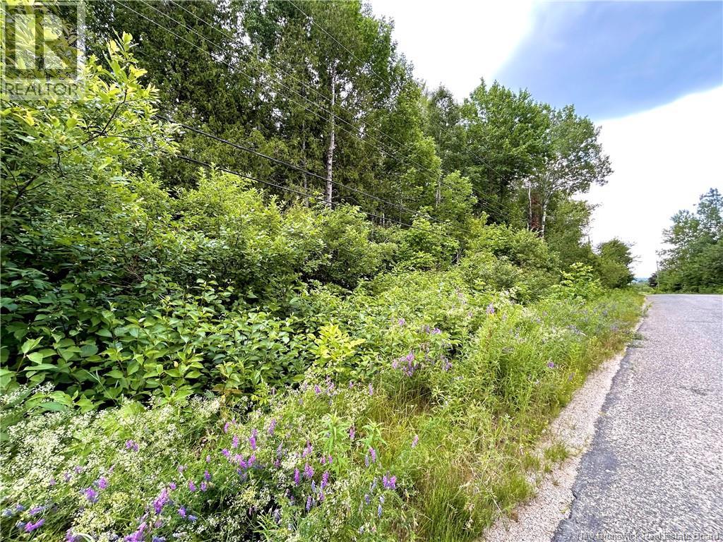 2 Hectares Kanes Lane, Sunny Corner — photo 2