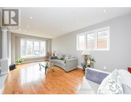Laundry room - 6 Mendoza Drive, Brampton, ON L7A3M3 Photo 8