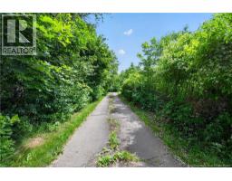 88 Gowland Mountain Road, Elgin, NB E4Z1T2 Photo 34