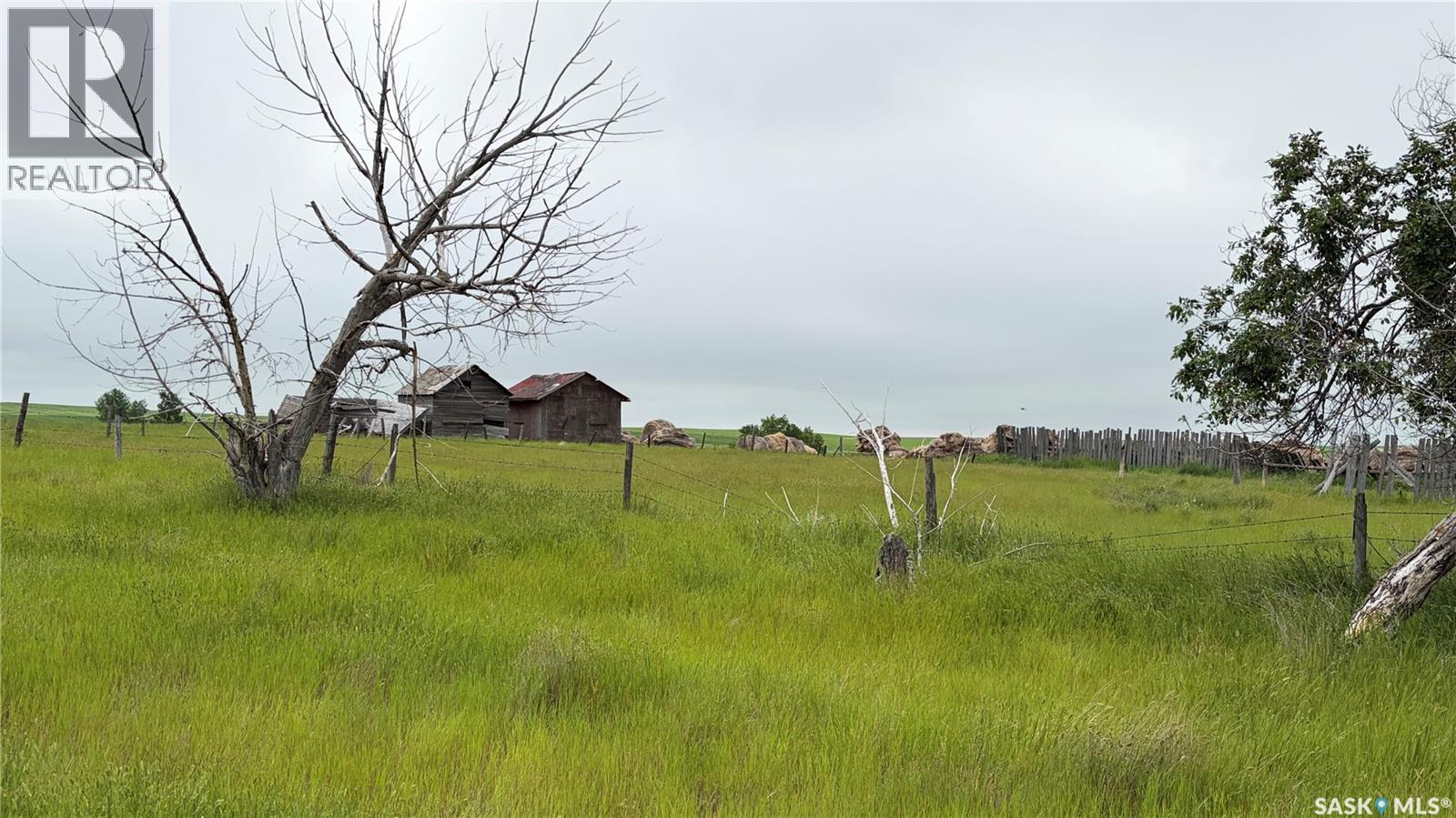 Wenzel 4 Quarters — photo 11