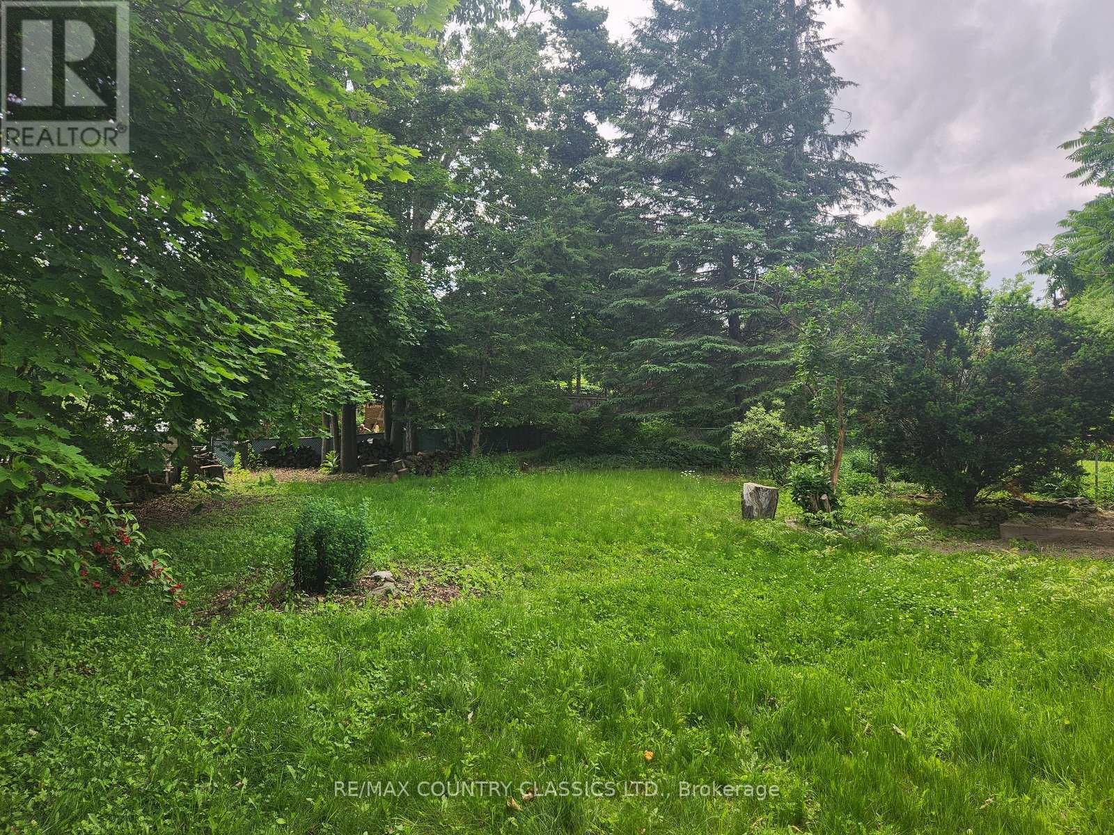 LOWER - 7 BEECHWOOD DRIVE, Peterborough (Monaghan Ward 2) — photo 2