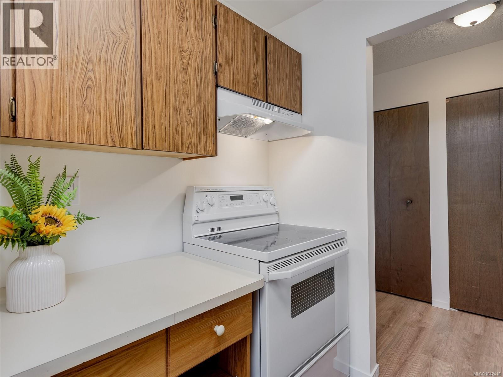 #207 1124 Esquimalt Rd - 9