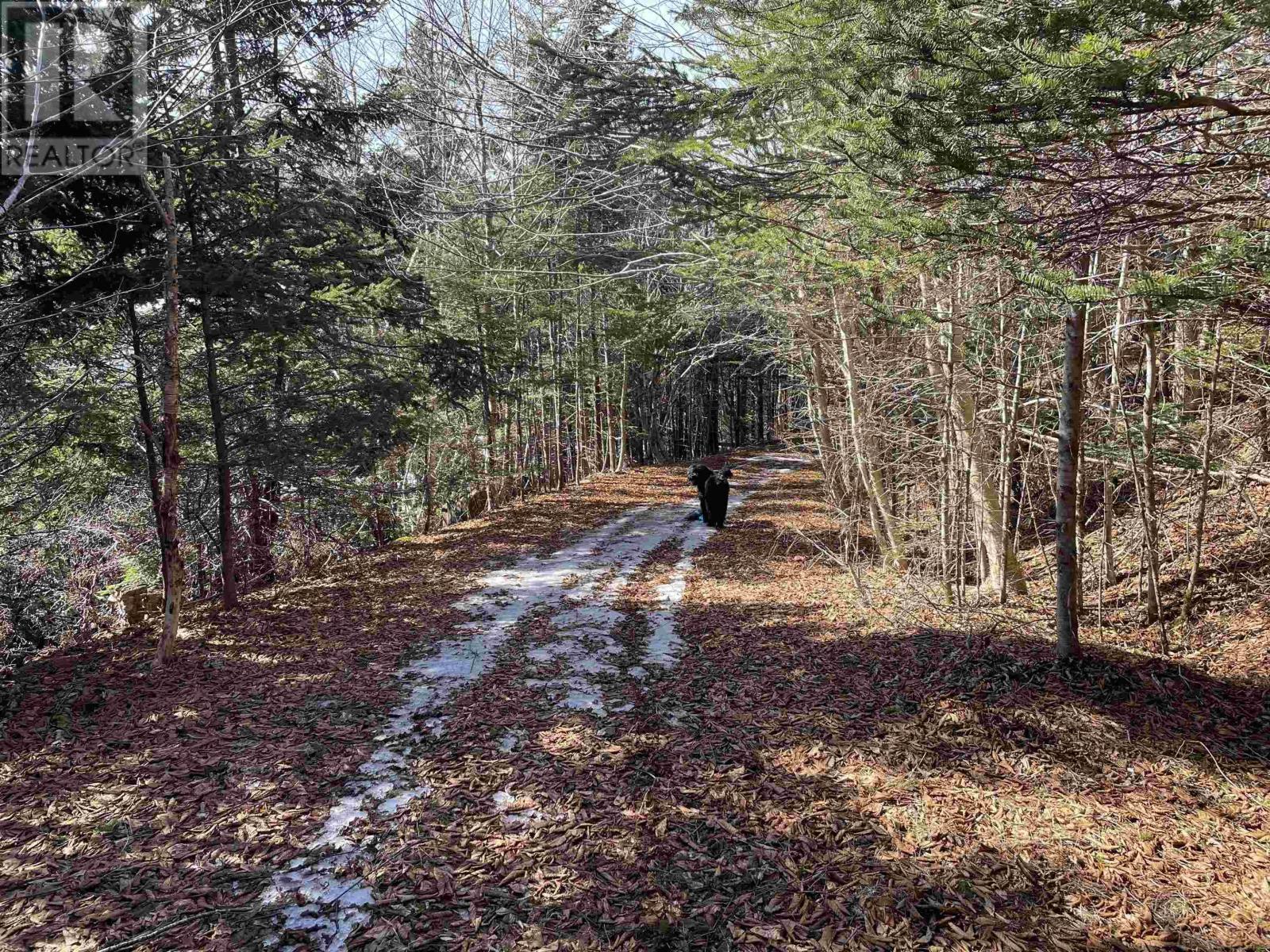 1095 New Harbour Lundy Road - 21