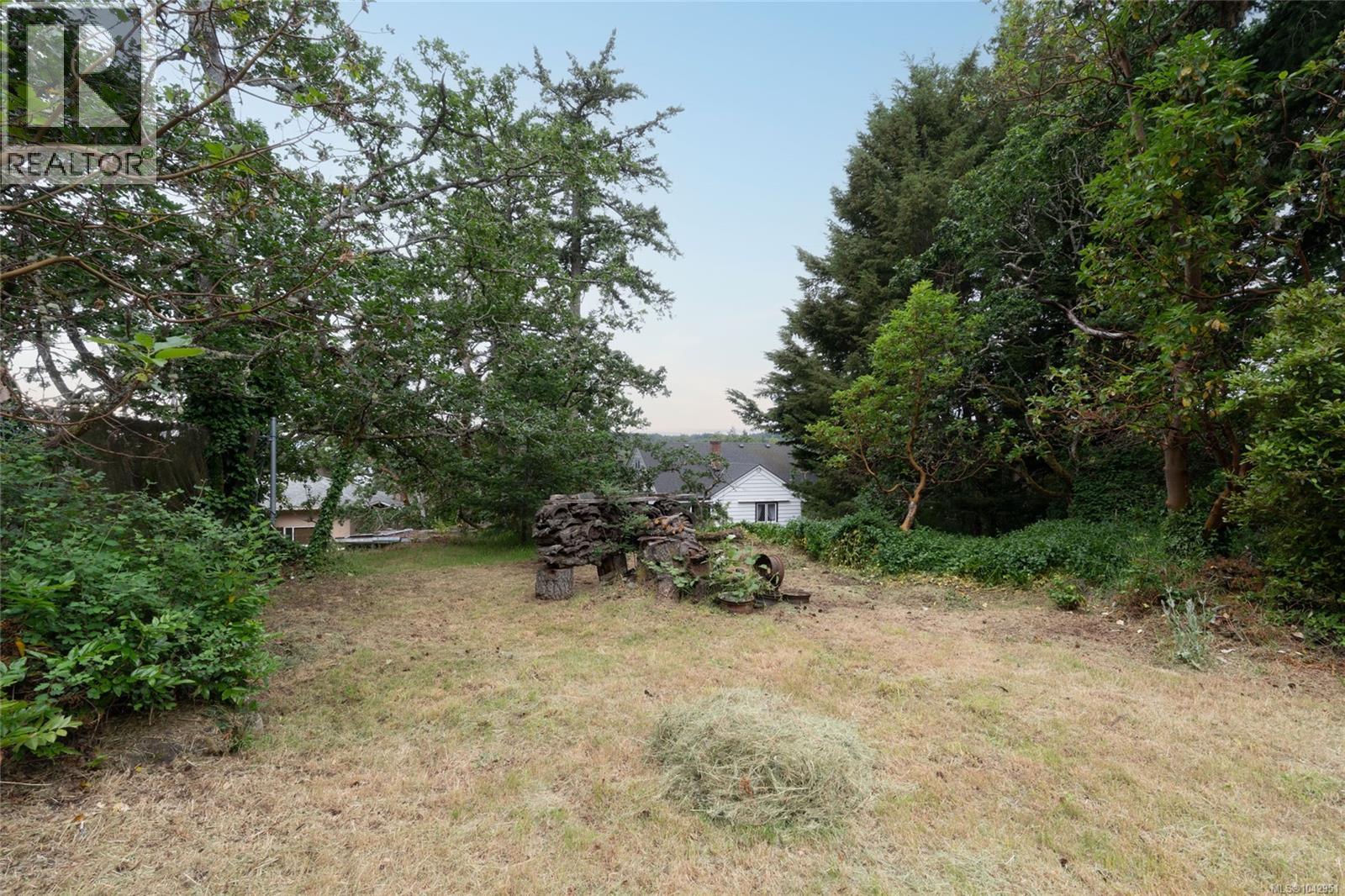 540 View Royal Ave - 10