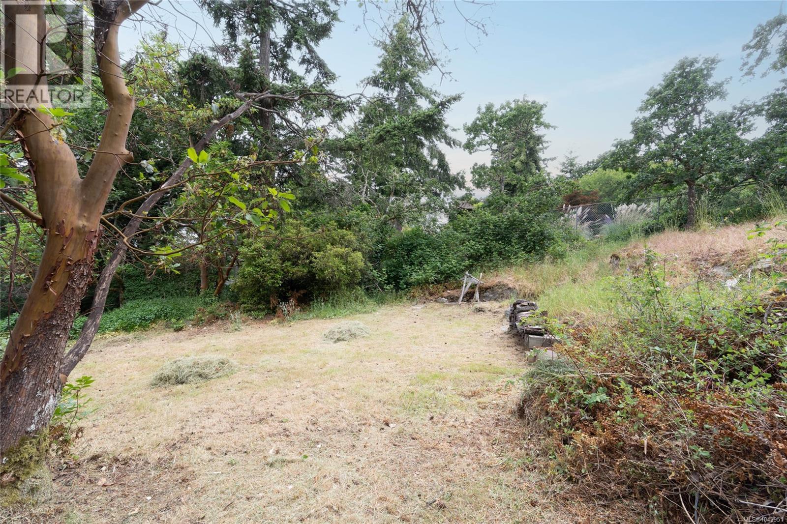 540 View Royal Ave - 12