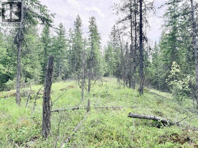 Lot 3 Crown Creek Road - photo 2