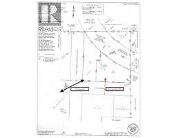 Parcel A 11th Avenue, New Denver, BC V0G1S1 Photo 12