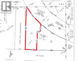 Parcel A 11th Avenue, New Denver, BC V0G1S1 Photo 13