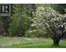 Parcel A 11th Avenue, New Denver, BC V0G1S1 Photo 14