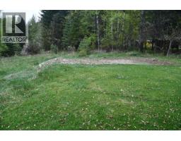 Parcel A 11th Avenue, New Denver, BC V0G1S1 Photo 15