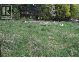 Parcel A 11th Avenue, New Denver, BC V0G1S1 Photo 16