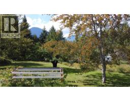 Parcel A 11th Avenue, New Denver, BC V0G1S1 Photo 7