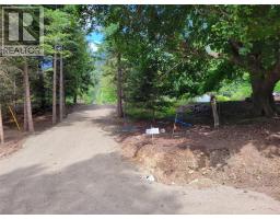 Parcel A 11th Avenue, New Denver, BC V0G1S1 Photo 8