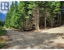 Parcel A 11th Avenue, New Denver, BC V0G1S1 Photo 9