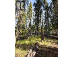 7582 Beazely Road, Deka Lake / Sulphurous / Hathaway Lakes, BC V0K2E3 Photo 8
