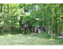 4741 Lower Faraday Road, Wollaston, ON K0L1P0 Photo 38