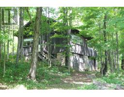 4741 Lower Faraday Road, Wollaston, ON K0L1P0 Photo 39