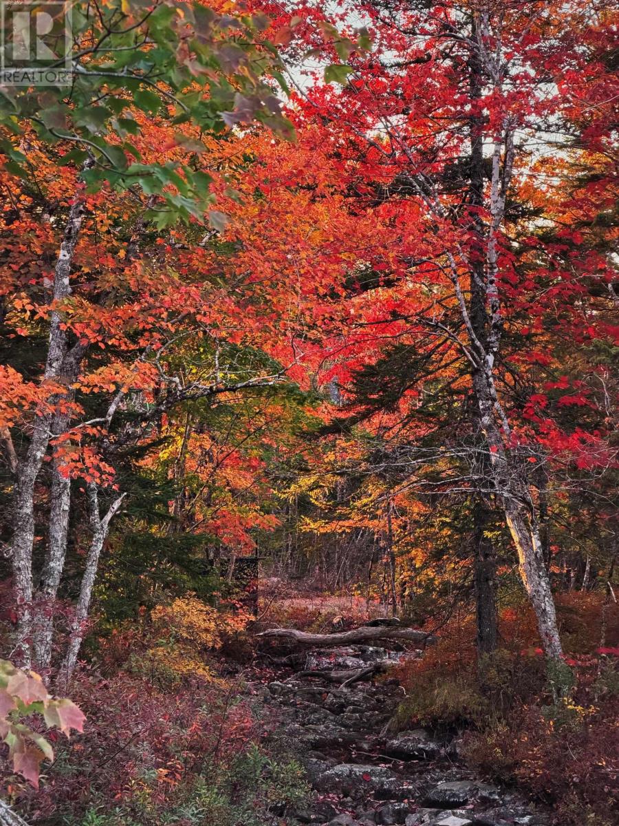 #52 273 Meek Arm Trail - 42