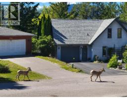 7326 Glacier Drive, Radium Hot Springs, BC V0A1M0 Photo 8