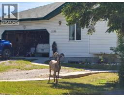 7326 Glacier Drive, Radium Hot Springs, BC V0A1M0 Photo 10