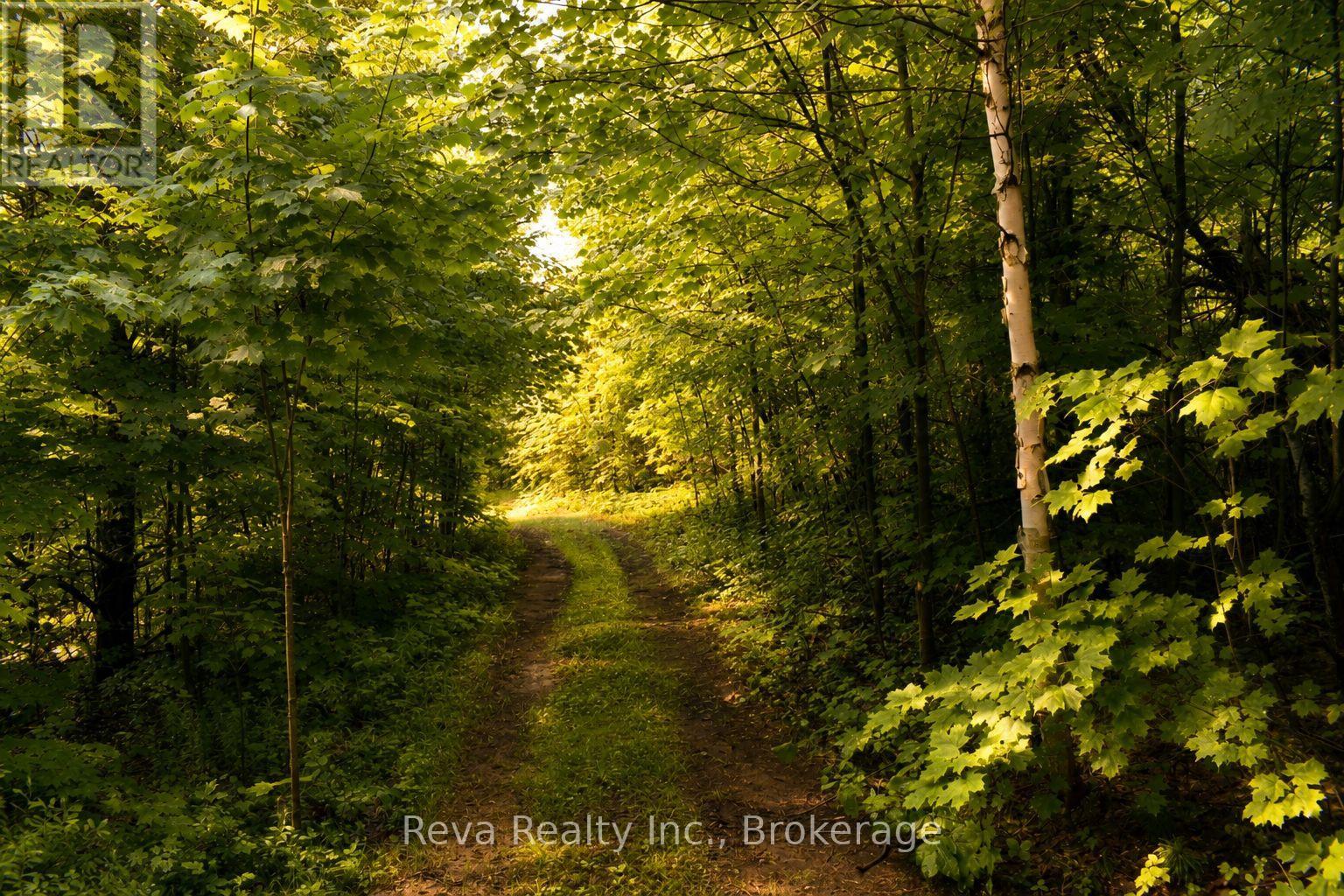 152 HASS ROAD - 40