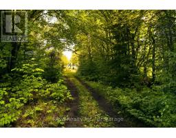 152 Hass Road, Hastings Highlands, ON K0L2S0 Photo 39