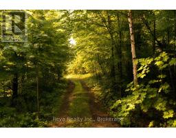 152 Hass Road, Hastings Highlands, ON K0L2S0 Photo 40
