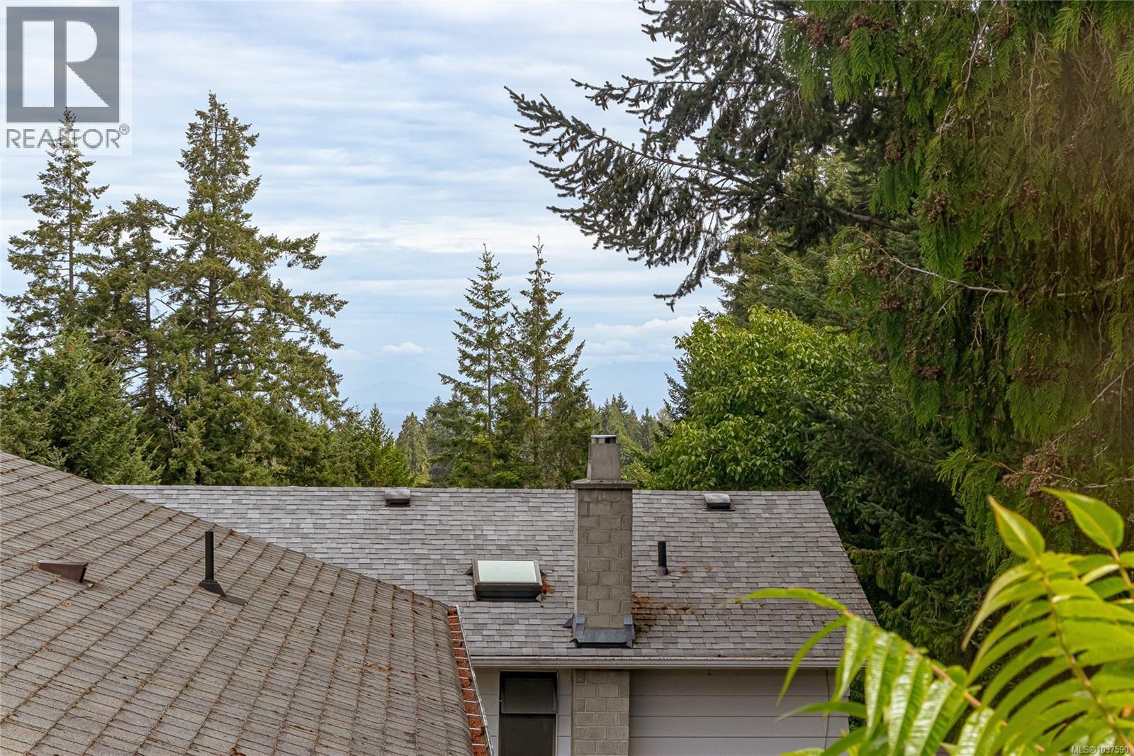 5536 Ventura Dr - 20