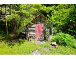 Family room - 1269 Sunset Drive, South Bruce Peninsula, ON N0H2T0 Photo 10