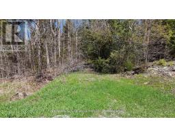 1160 Balmer Road, North Kawartha, ON K0L1A0 Photo 14