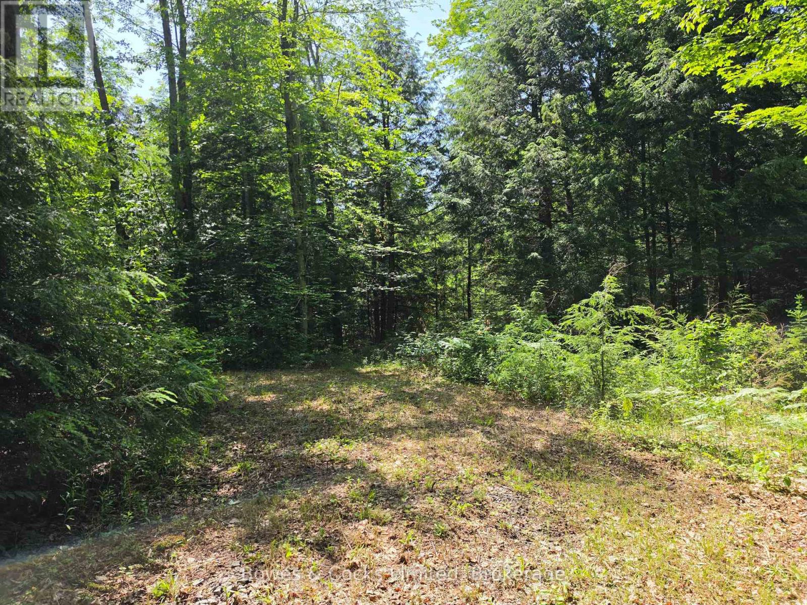 1160 BALMER ROAD, North Kawartha — photo 3